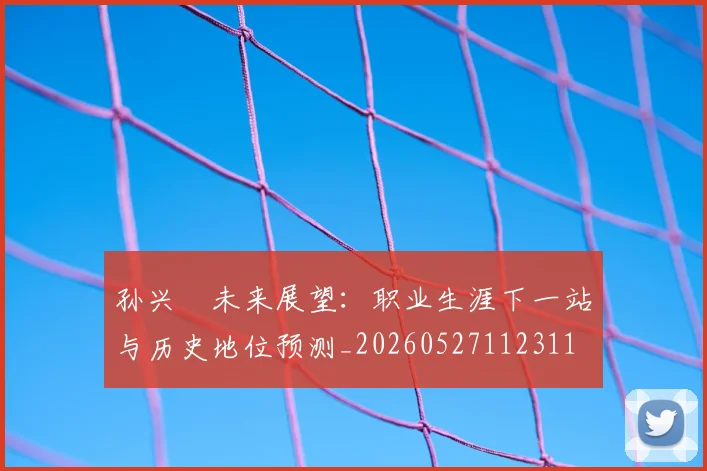 孙兴慜未来展望：职业生涯下一站与历史地位预测_20260527112311